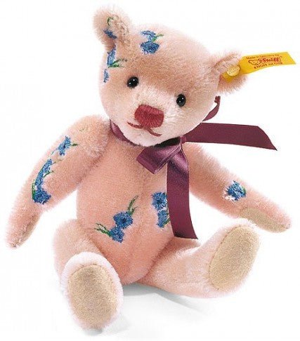 Cornflower - Wolfe Nursery