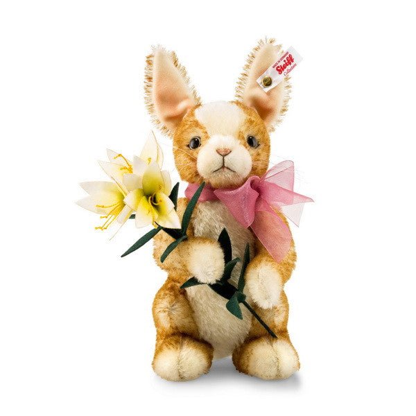 Lily Springtime Bunny - Wolfe Nursery