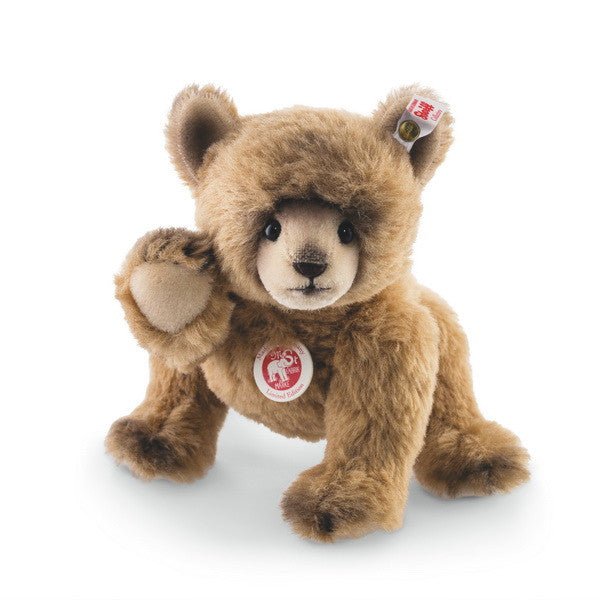 Nodding Bear - Wolfe Nursery